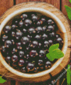 Blackcurrant Diamond Painting