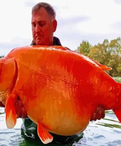 Giant Orange Fish Diamond Painting