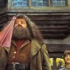 Hagrid And Harry Potter Diamond Painting