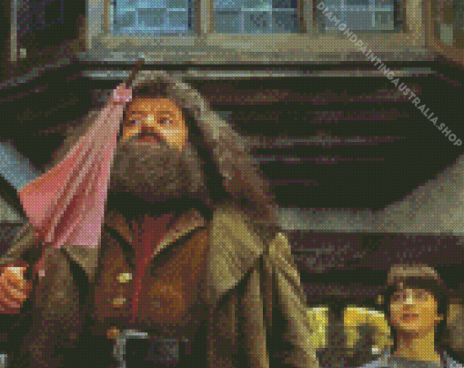 Hagrid And Harry Potter Diamond Painting