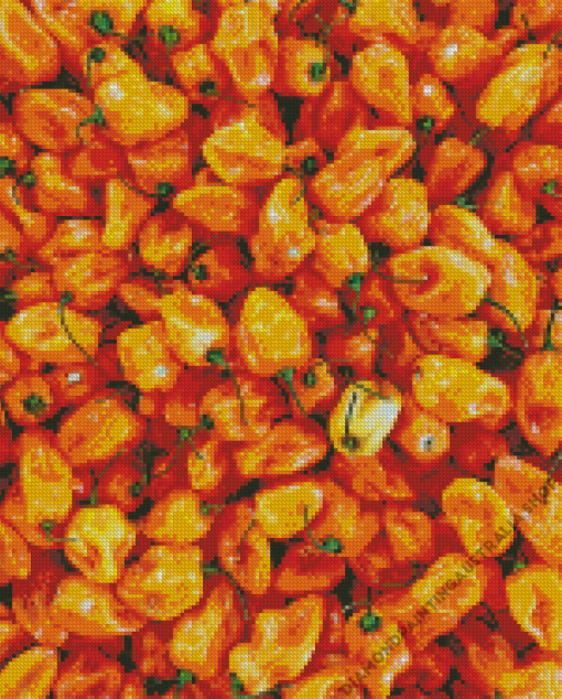 Orange Pequin Pepper Hot Chili Diamond Painting