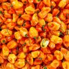 Orange Pequin Pepper Hot Chili Diamond Painting