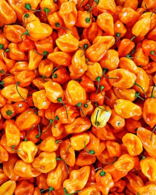 Orange Pequin Pepper Hot Chili Diamond Painting