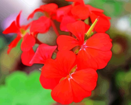 Red Geranium Flowers Plant Diamond Painting