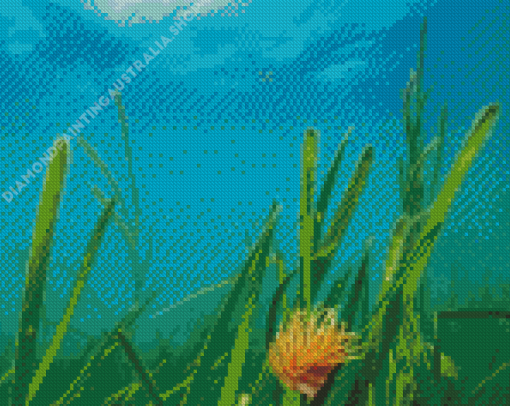 Seagrass Underwater Meadows Diamond Painting