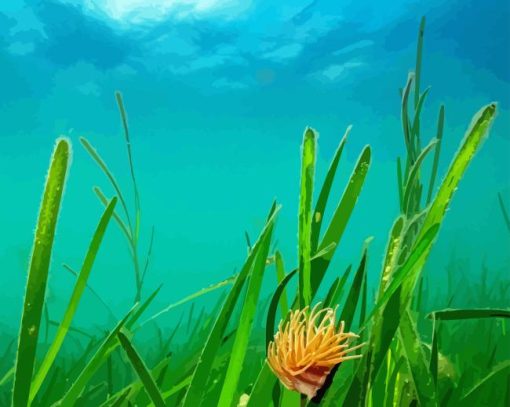 Seagrass Underwater Meadows Diamond Painting