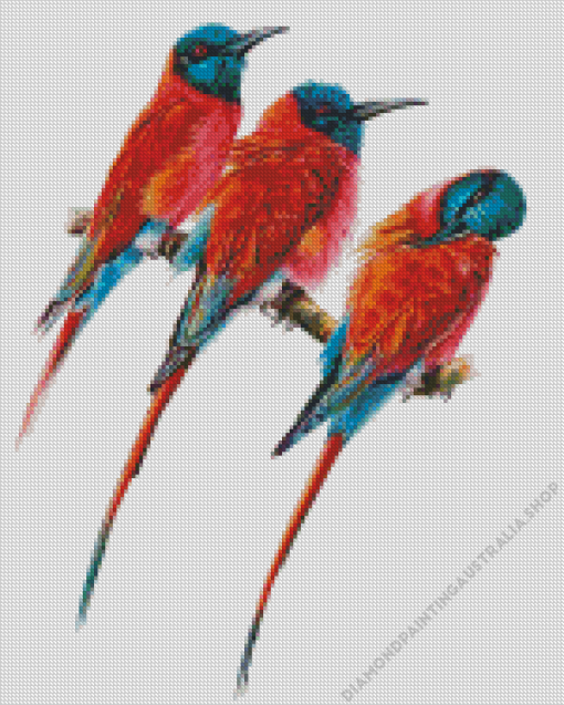 Southern Carmine Bee Eater Birds Art Diamond Painting