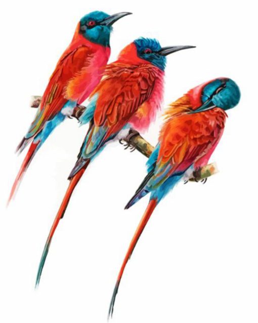 Southern Carmine Bee Eater Birds Art Diamond Painting