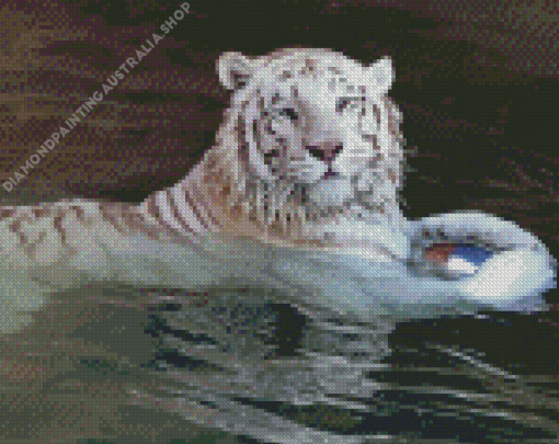 White Bengal Tiger Swimming Diamond Painting