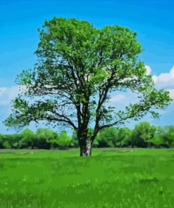 Blue Sky Green Trees Landscape Diamond Painting