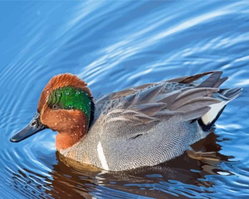 Green Winged Teal Duck Diamond Painting