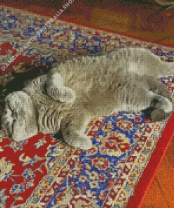 Sleeping Cat Diamond Painting