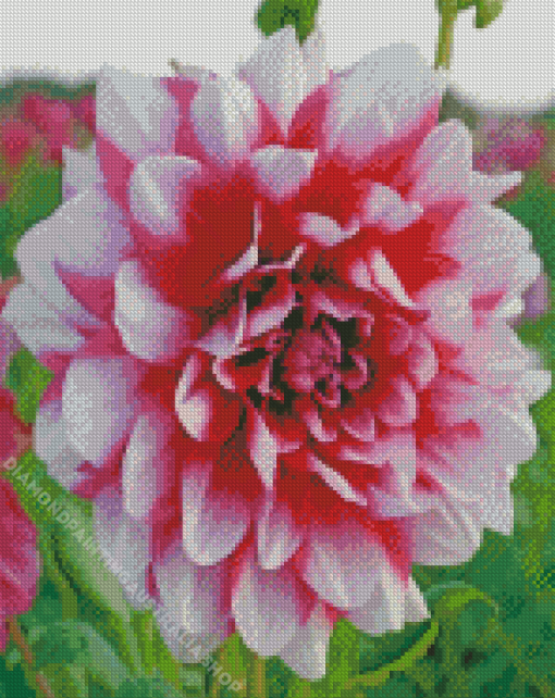 Dahlia Flower Diamond Painting