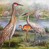 Sandhill cranes family Diamond Paintings