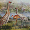 Sandhill cranes family Diamond Paintings