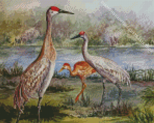 Sandhill cranes family Diamond Paintings