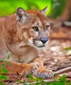 florida panther Diamond Paints