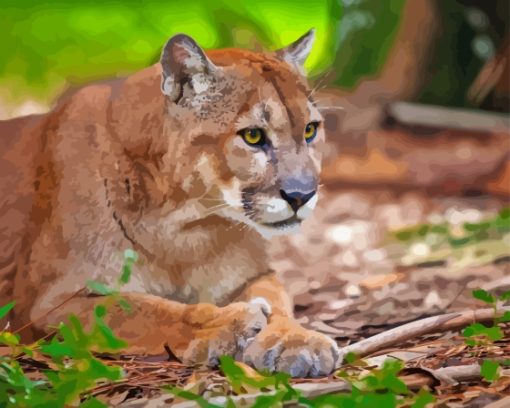 florida panther Diamond Paints