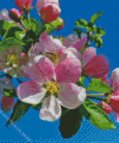 Apple Flower Diamond Painting