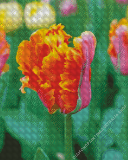 Parrot Tulips Diamond Painting