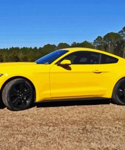 2015 Ford Yellow Mustang EcoBoost Diamond Painting