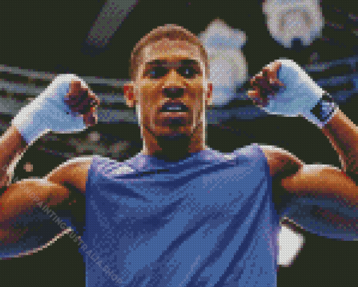 Anthony Joshua Diamond Painting