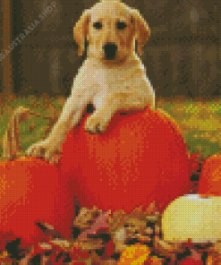 Autumn Puppy Diamond Painting