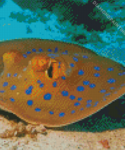 Beautiful Stingray Under Water Diamond Painting