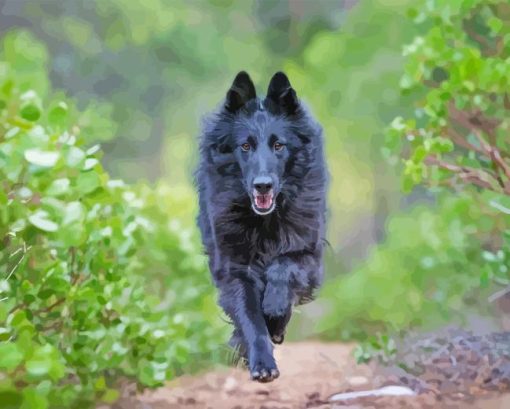 Belgian Sheepdog Running Diamond Painting