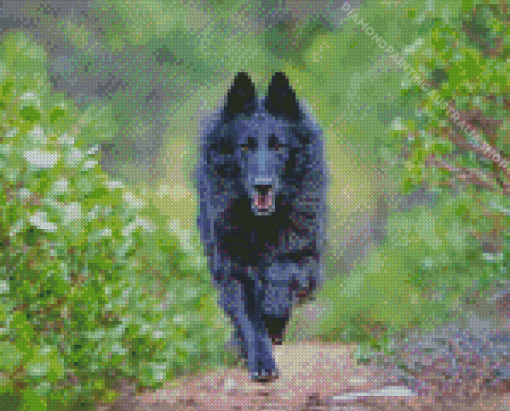 Belgian Sheepdog Running Diamond Painting