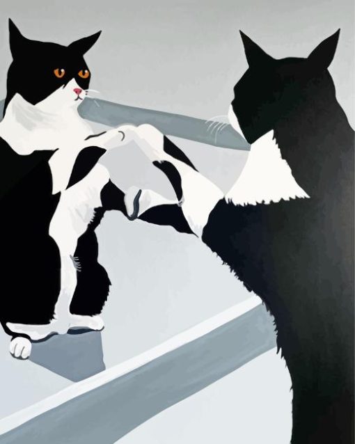 Cat Looking In The Mirror Diamond Painting