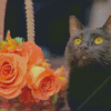 Black Cat And Flowers Diamond Painting