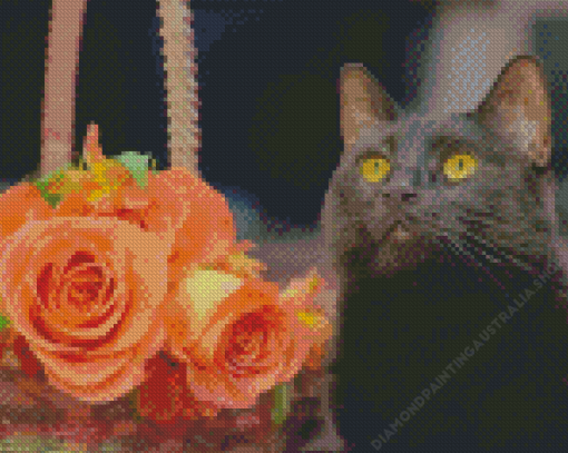 Black Cat And Flowers Diamond Painting