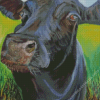 Black Cow Animal Diamond Painting