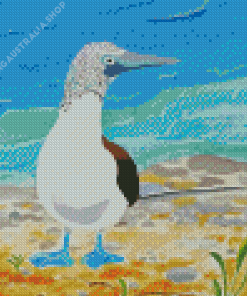 Blue Footed Booby On Beach Diamond Painting