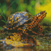 Box Turtle Diamond Painting