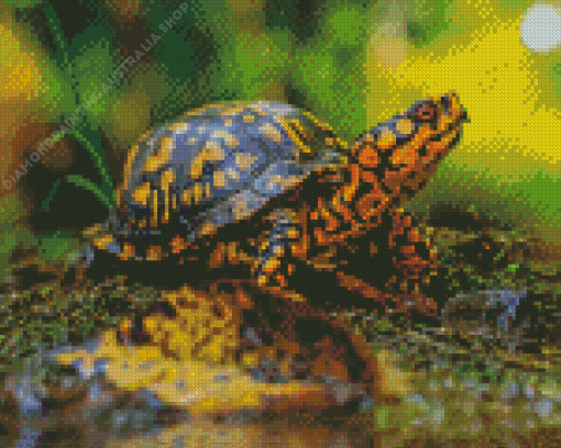 Box Turtle Diamond Painting