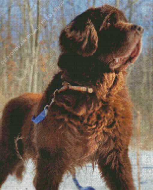 Brown Landseer Dog Diamond Painting