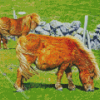 Brown Shetland Ponies Diamond Painting