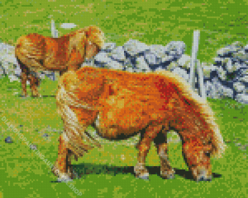 Brown Shetland Ponies Diamond Painting