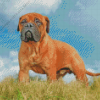 Bullmastiff Dog Diamond Painting