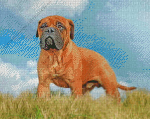 Bullmastiff Dog Diamond Painting