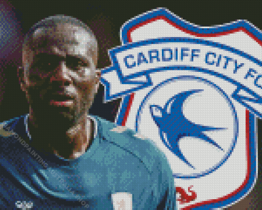 Cardiff City Football Diamond Painting