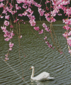 Cherry Tree And Swan Swimming Diamond Painting