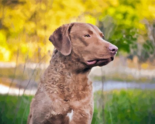 Chesapeake Bay Retriever Diamond Painting