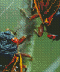 Close up Cicadas Insects Diamond Painting