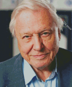 Close up David Attenborough Diamond Painting