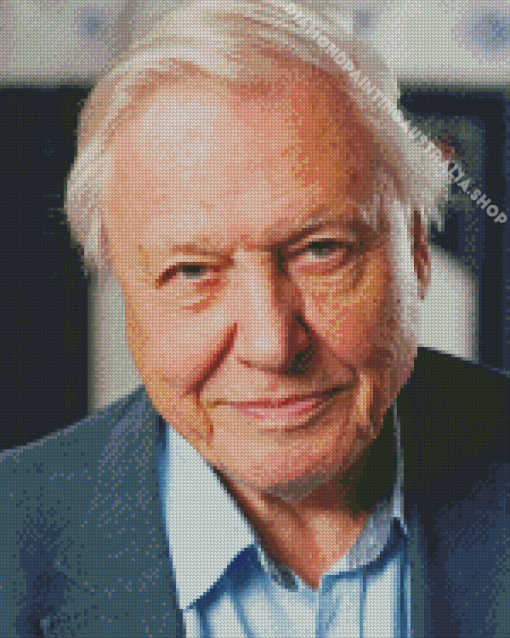 Close up David Attenborough Diamond Painting