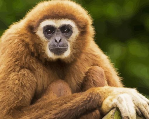 Close up Gibbon Diamond Painting