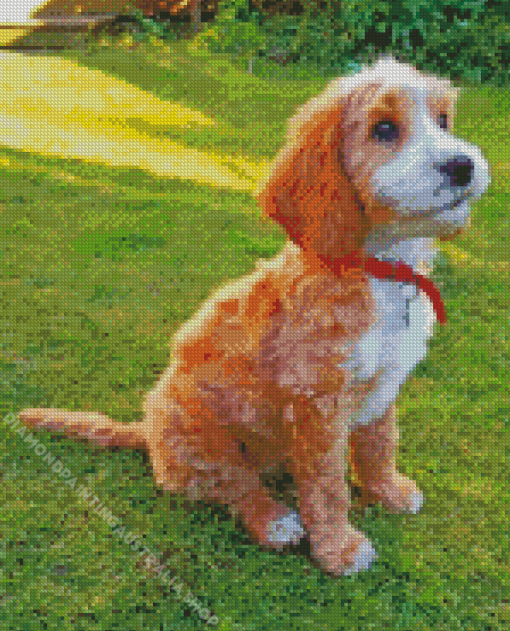 Cockapoo Dog Diamond Painting